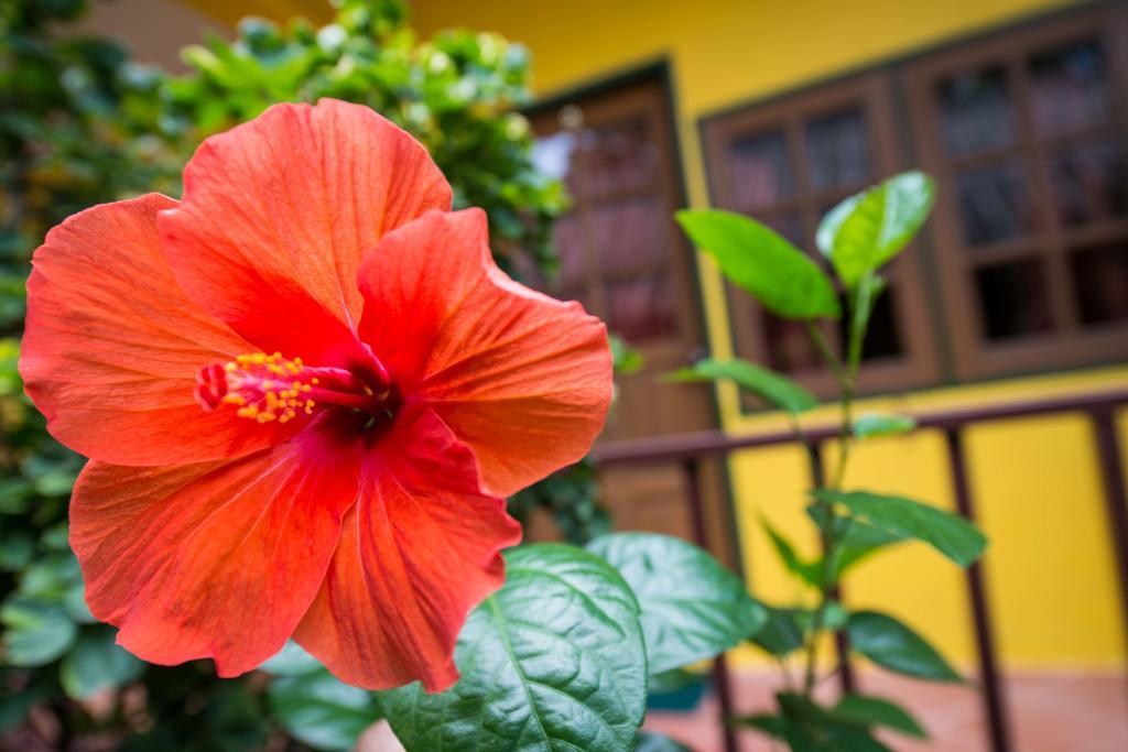 Janrassamee Guest house Koh Chang