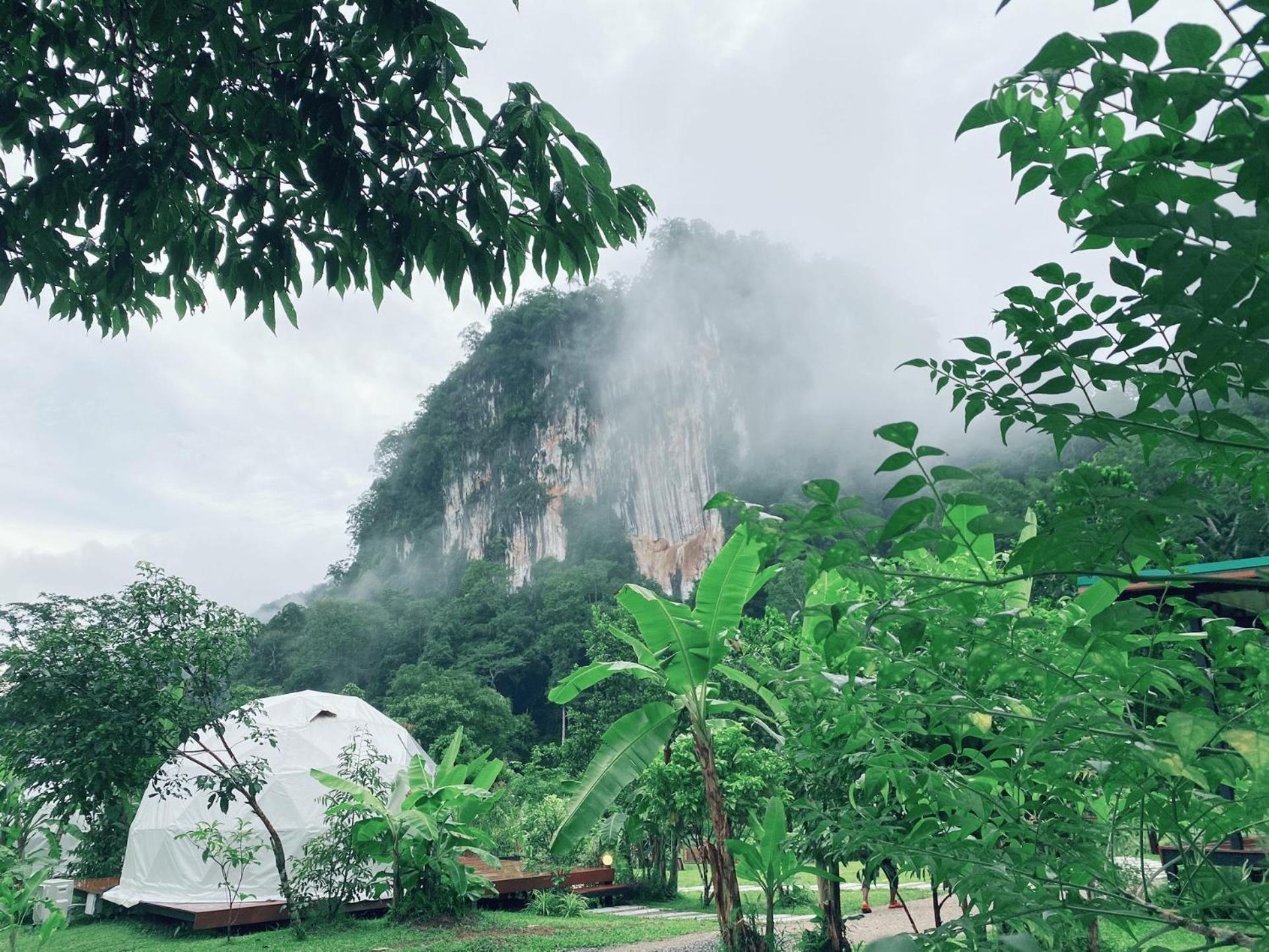 Cosy Garden Khao Sok Luxury tent *