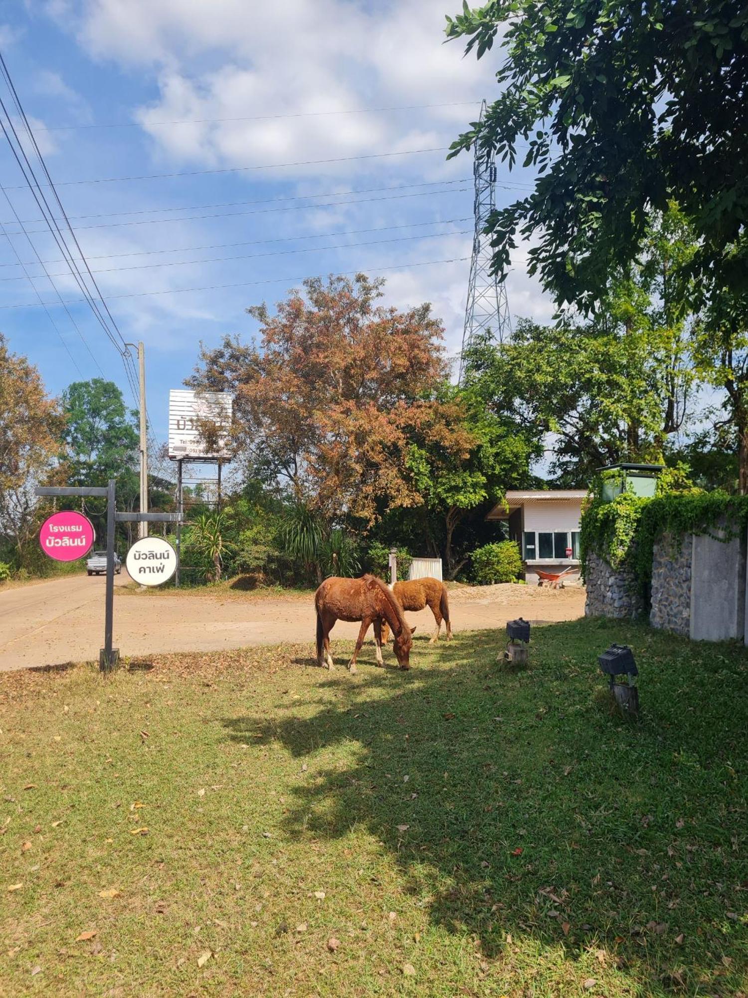 Bualinn 3* Nong Khai