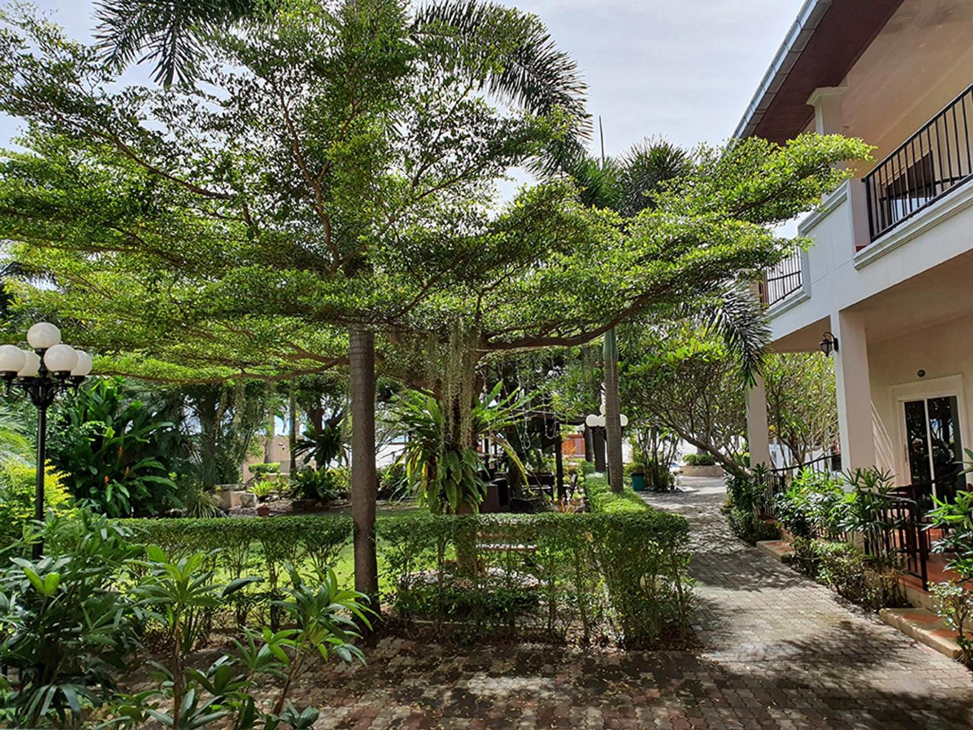 Serene Sands Hotel 4*