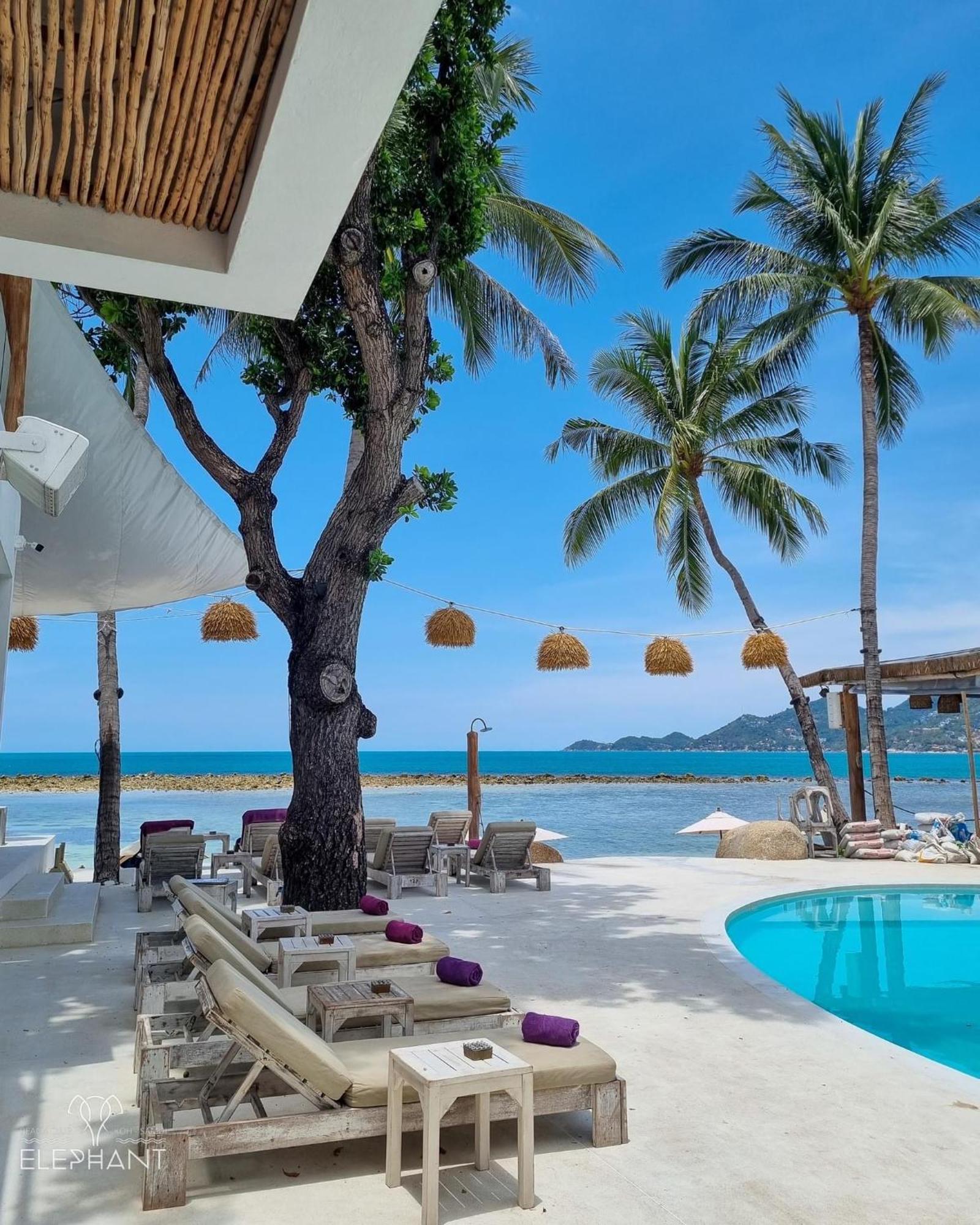 Resort Elephant Club & Samui Chaweng (Koh Samui)