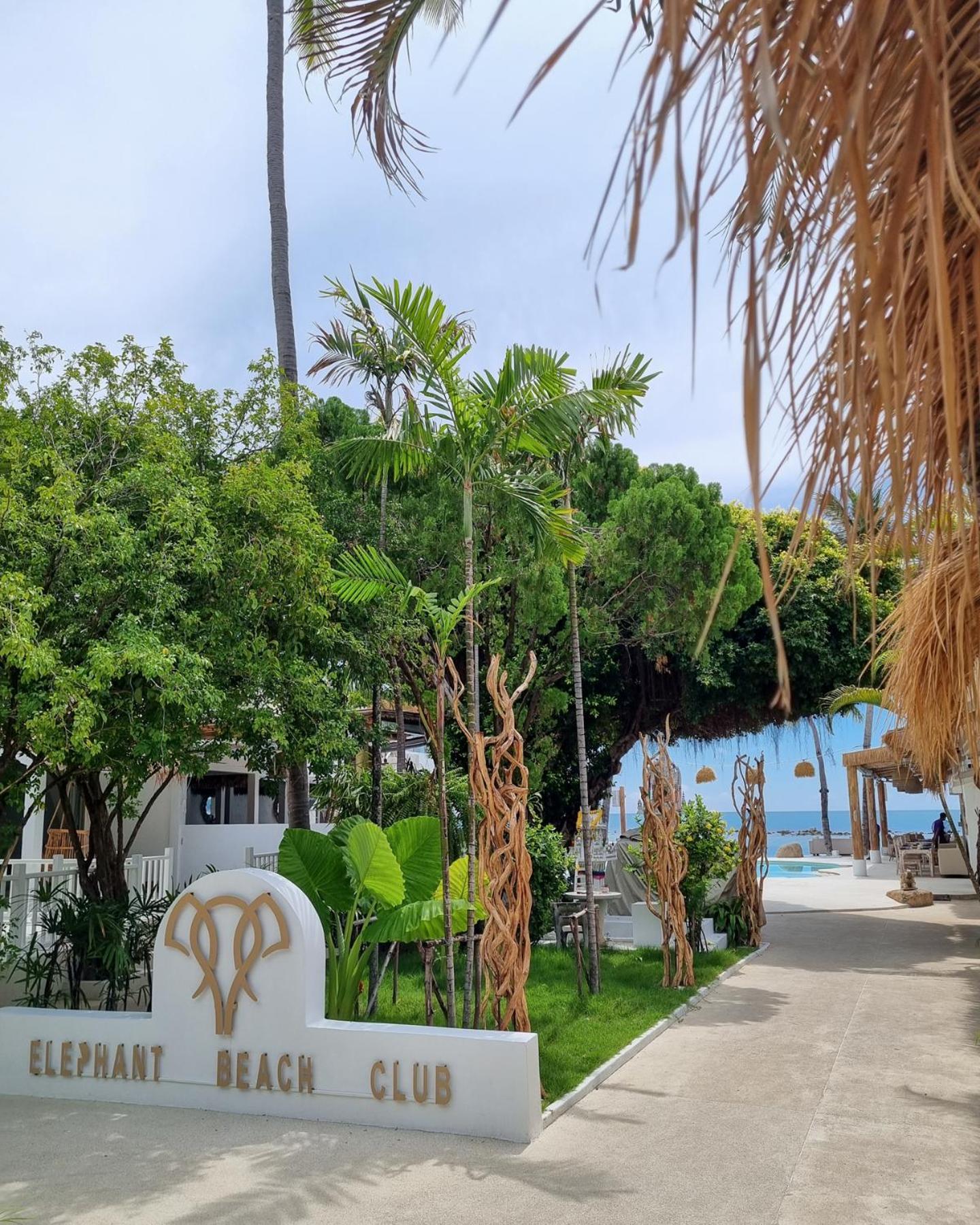 Elephant Club & Samui