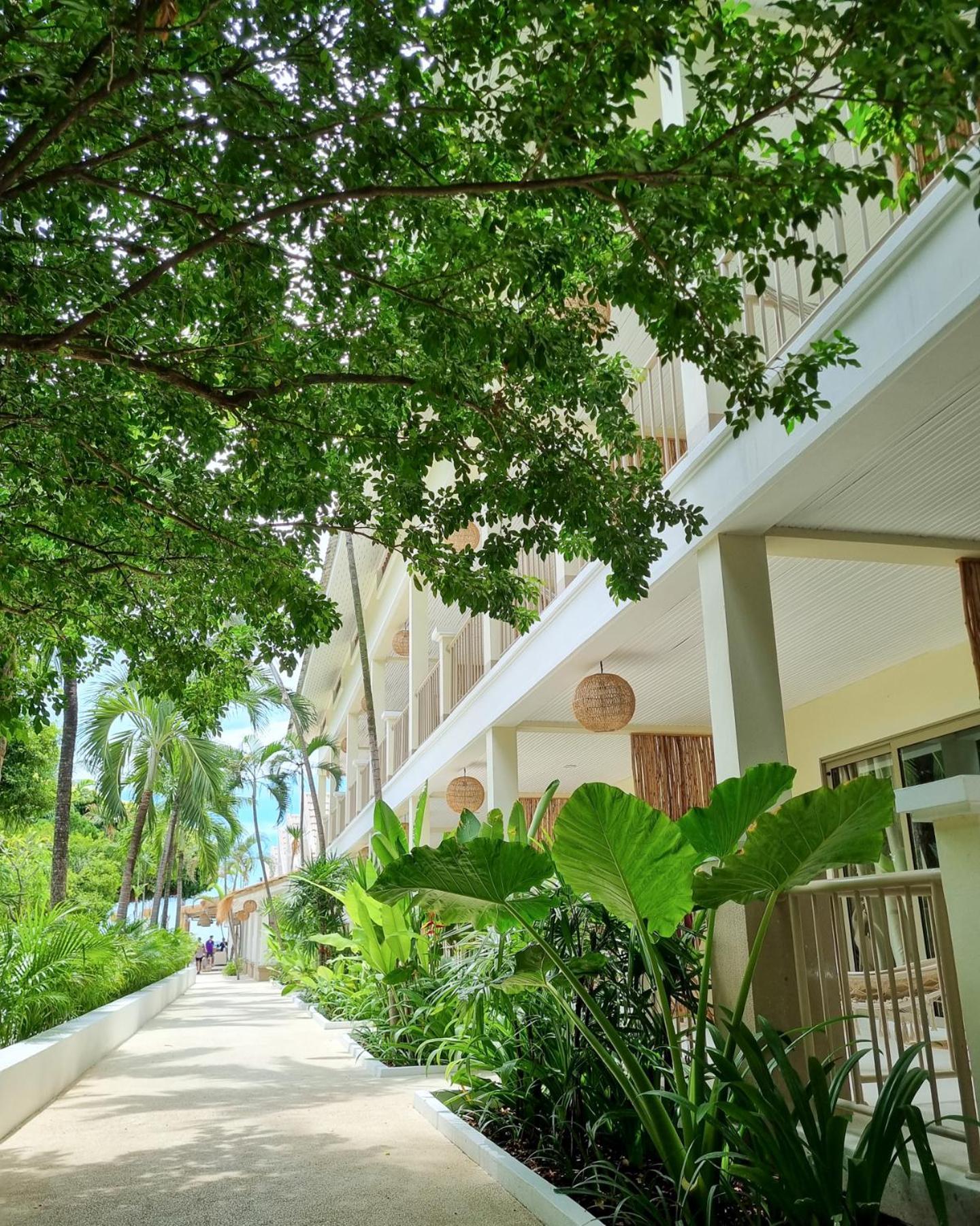 Resort Elephant Club & Samui Chaweng (Koh Samui)