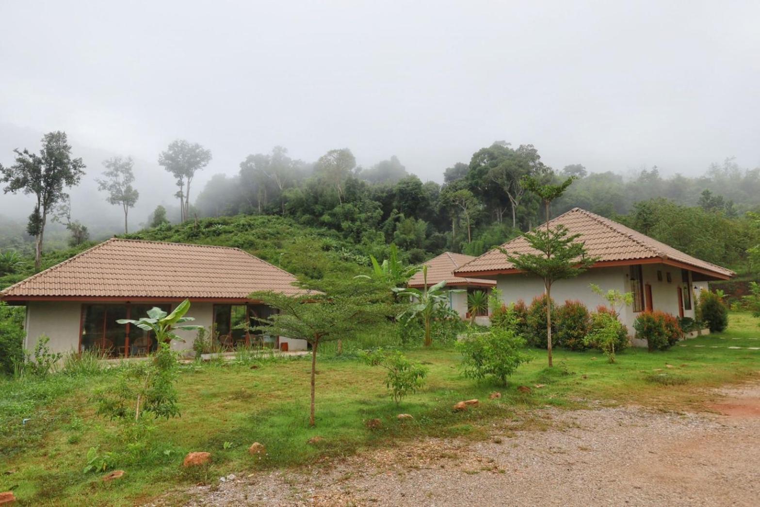 The Liveliwoods Khao Sok National Park