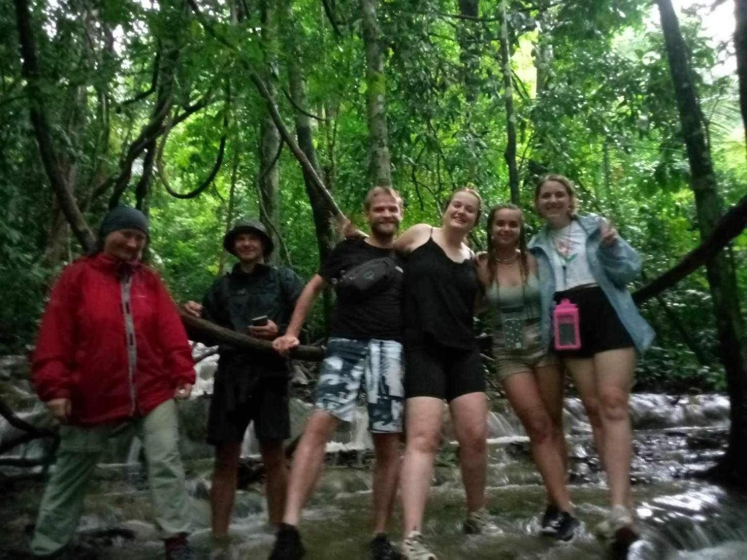 The Liveliwoods