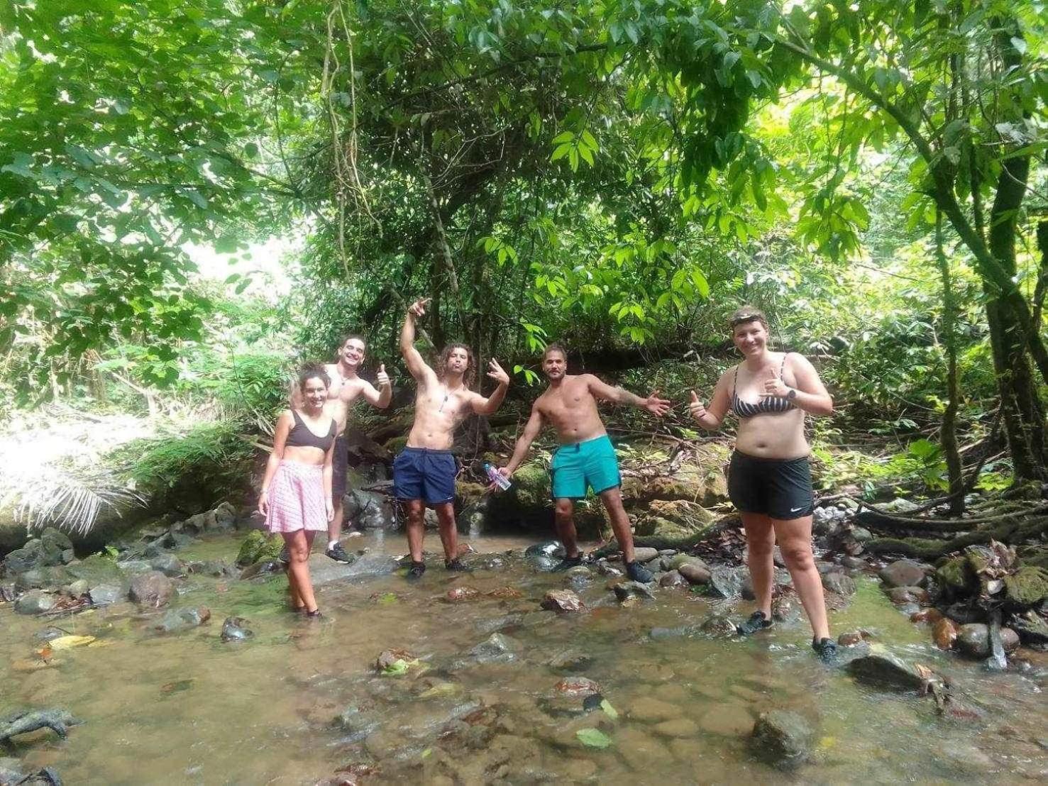 The Liveliwoods * Khao Sok National Park