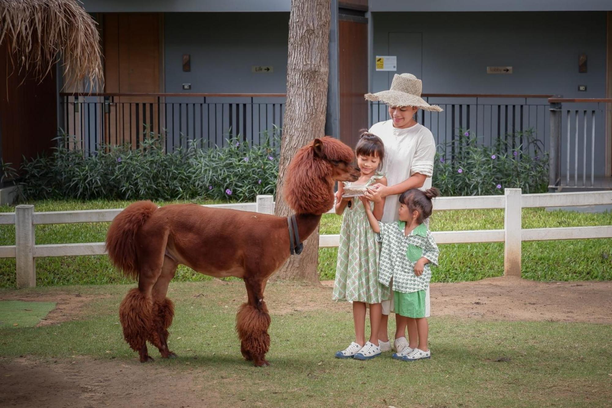Dusitd2 Khao Yai