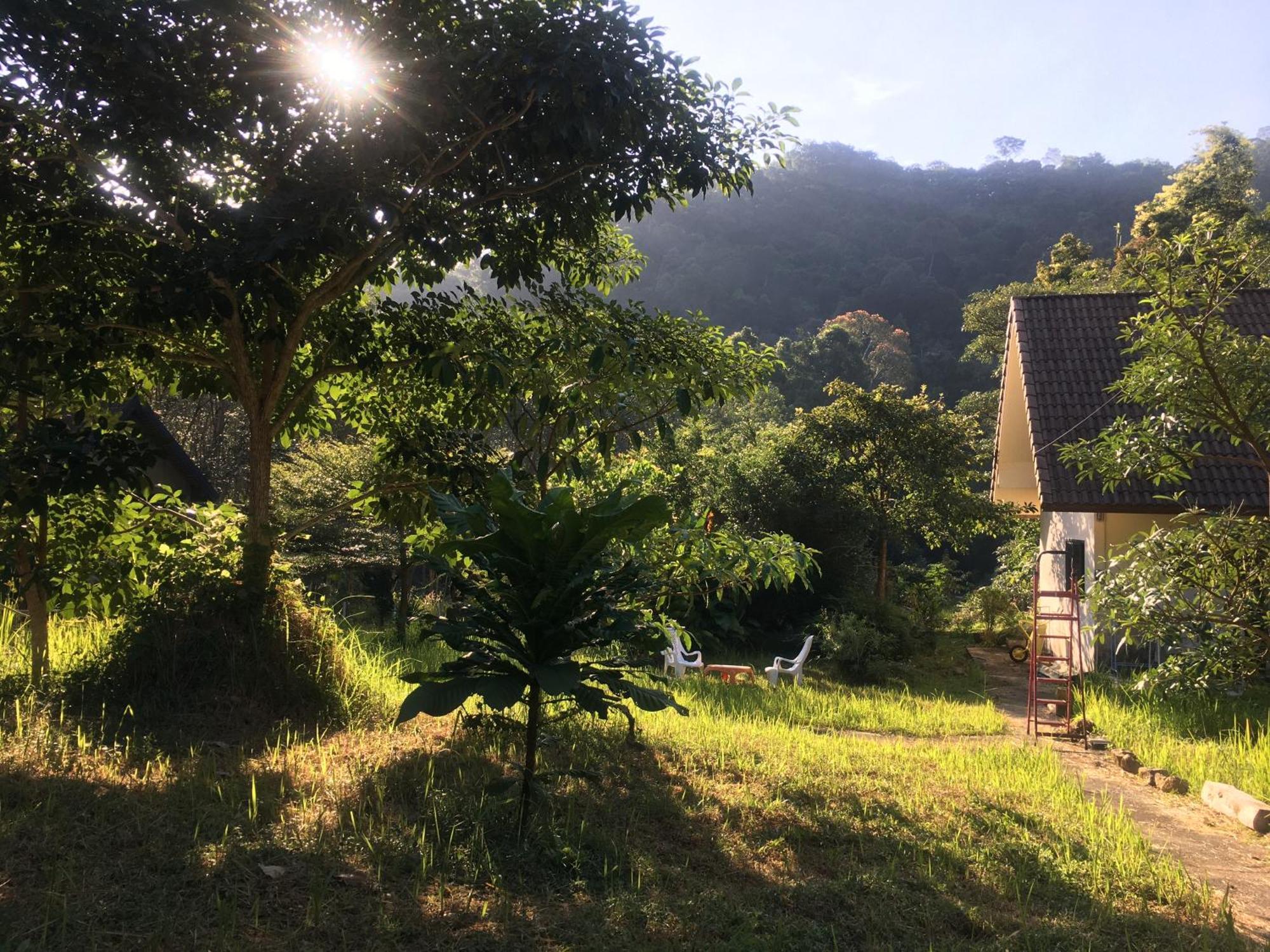 Homebar Homestay