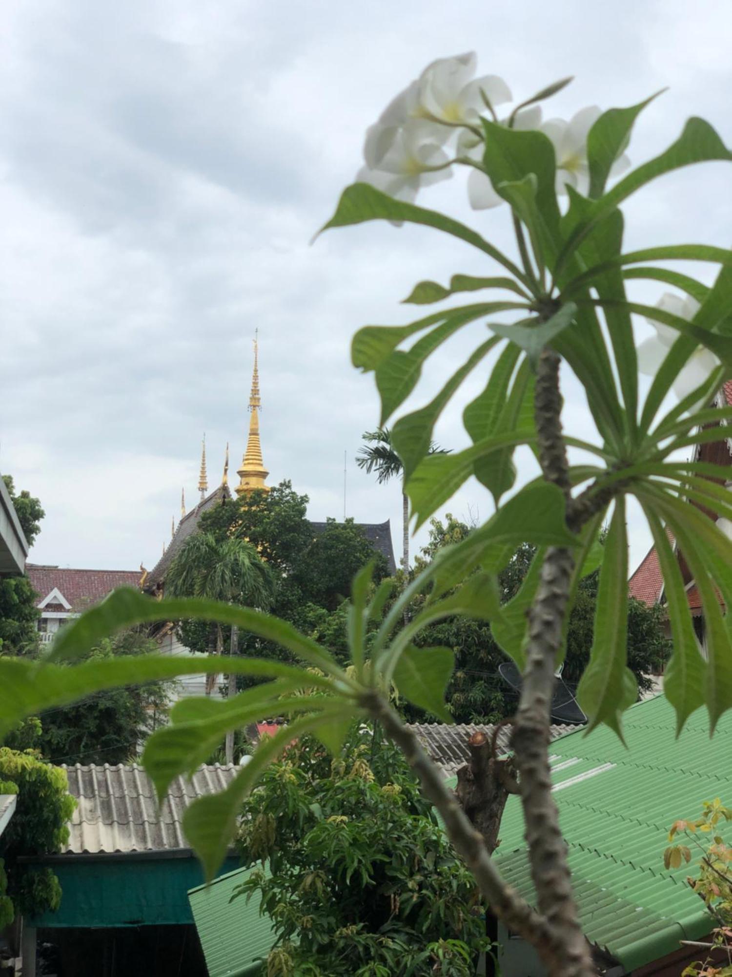 Guest house Thongran's House Chiang Mai