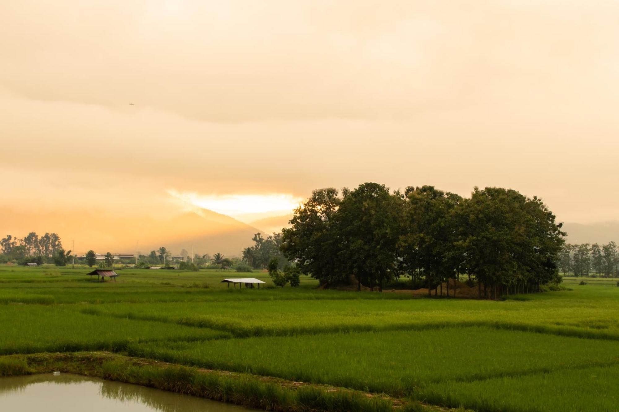 Resort Sangthong At Chiang Klang