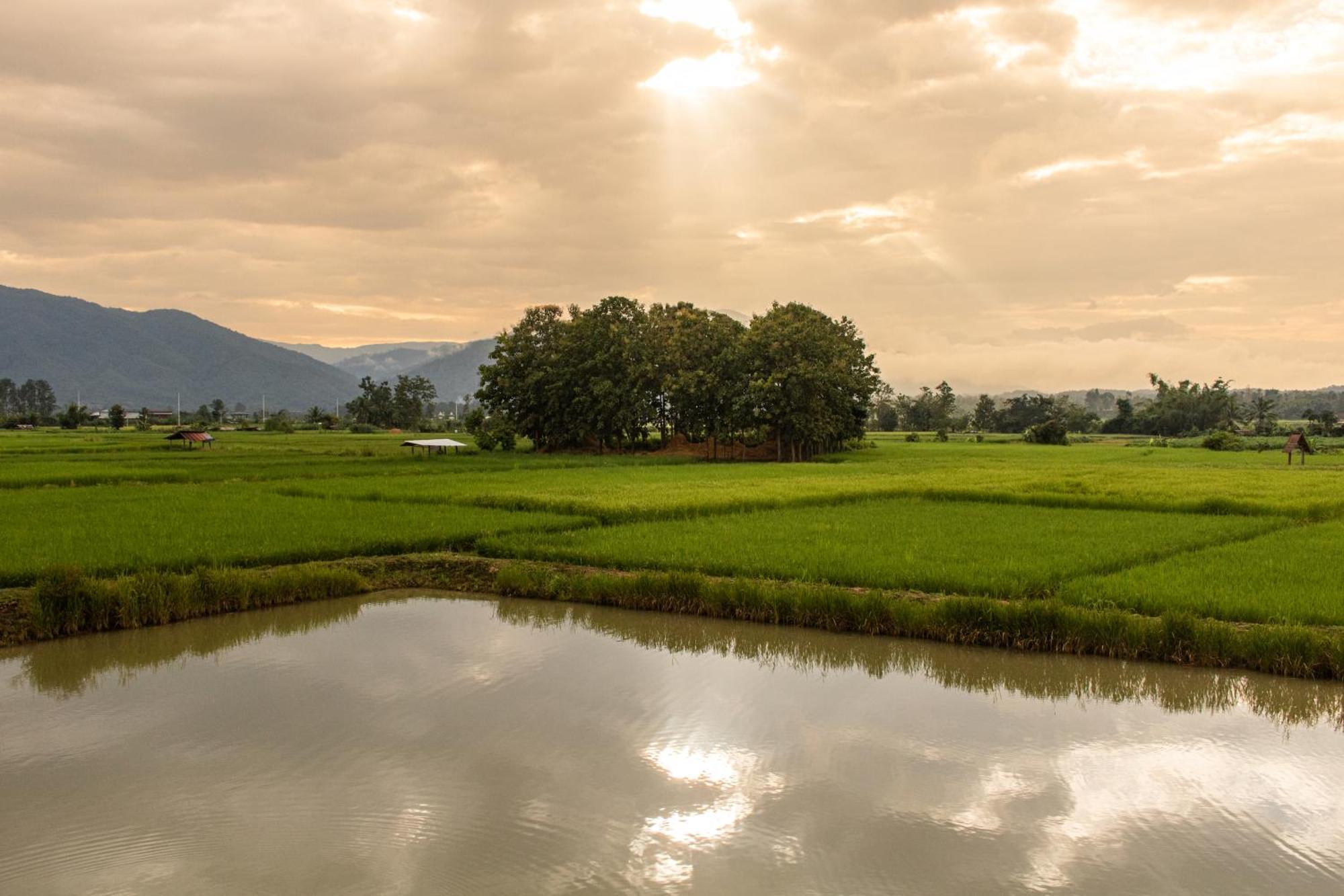 Sangthong At Chiang Klang