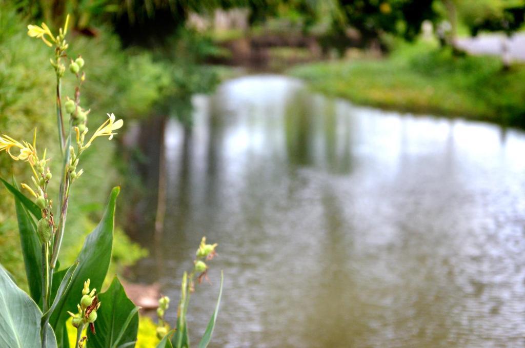 The Grand Jamjuree Resort