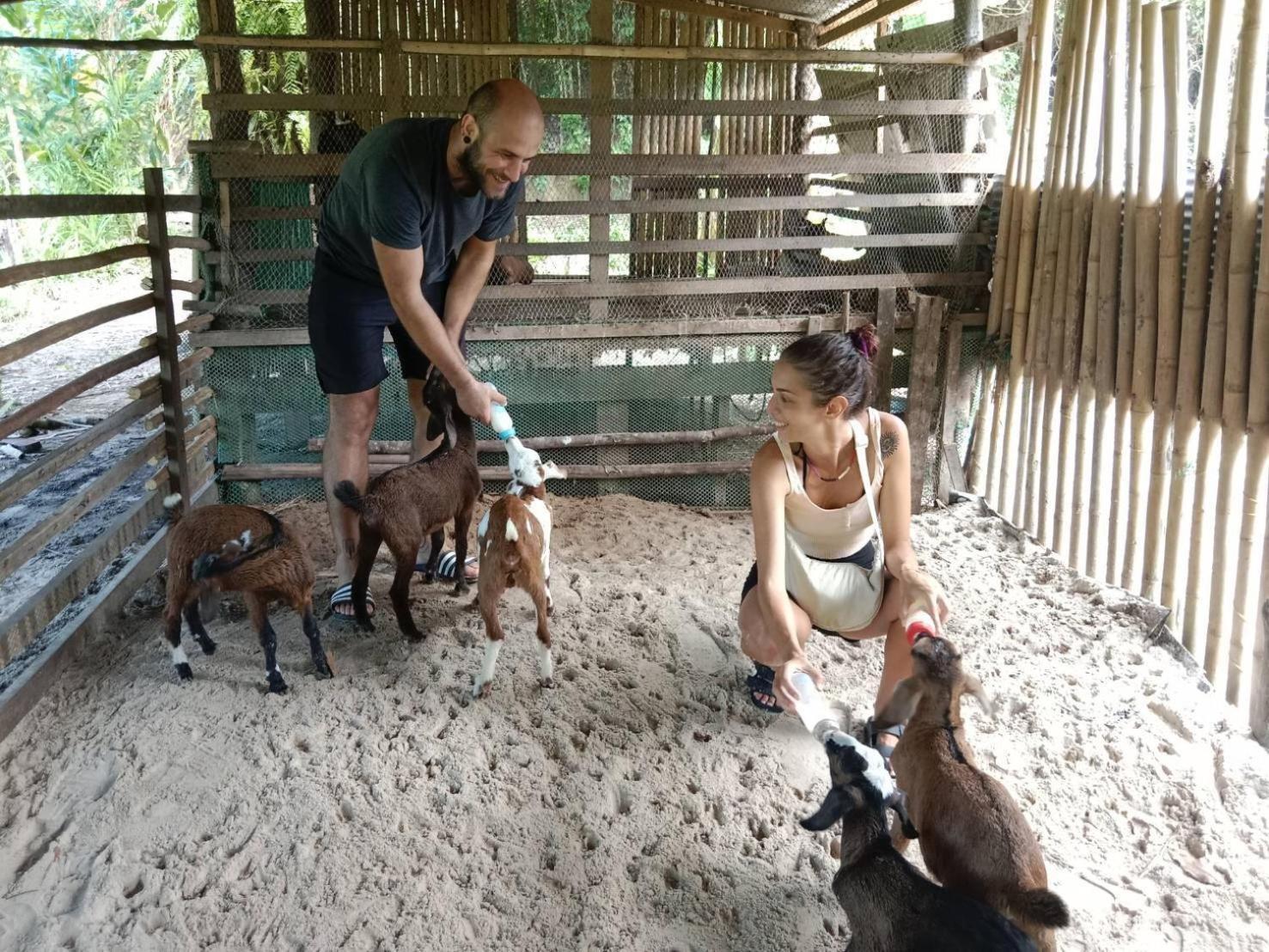 Yaoisland And Farm Ko Yao Yai