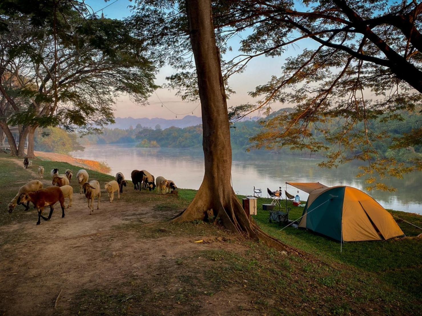 The Legacy River Kwai Resort