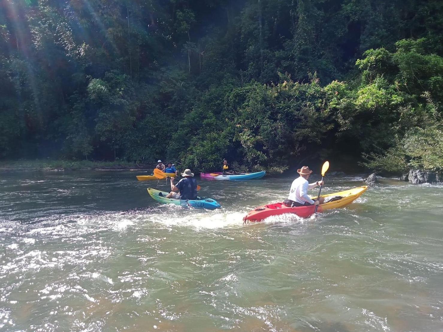 The Liveliwoods * Khao Sok National Park