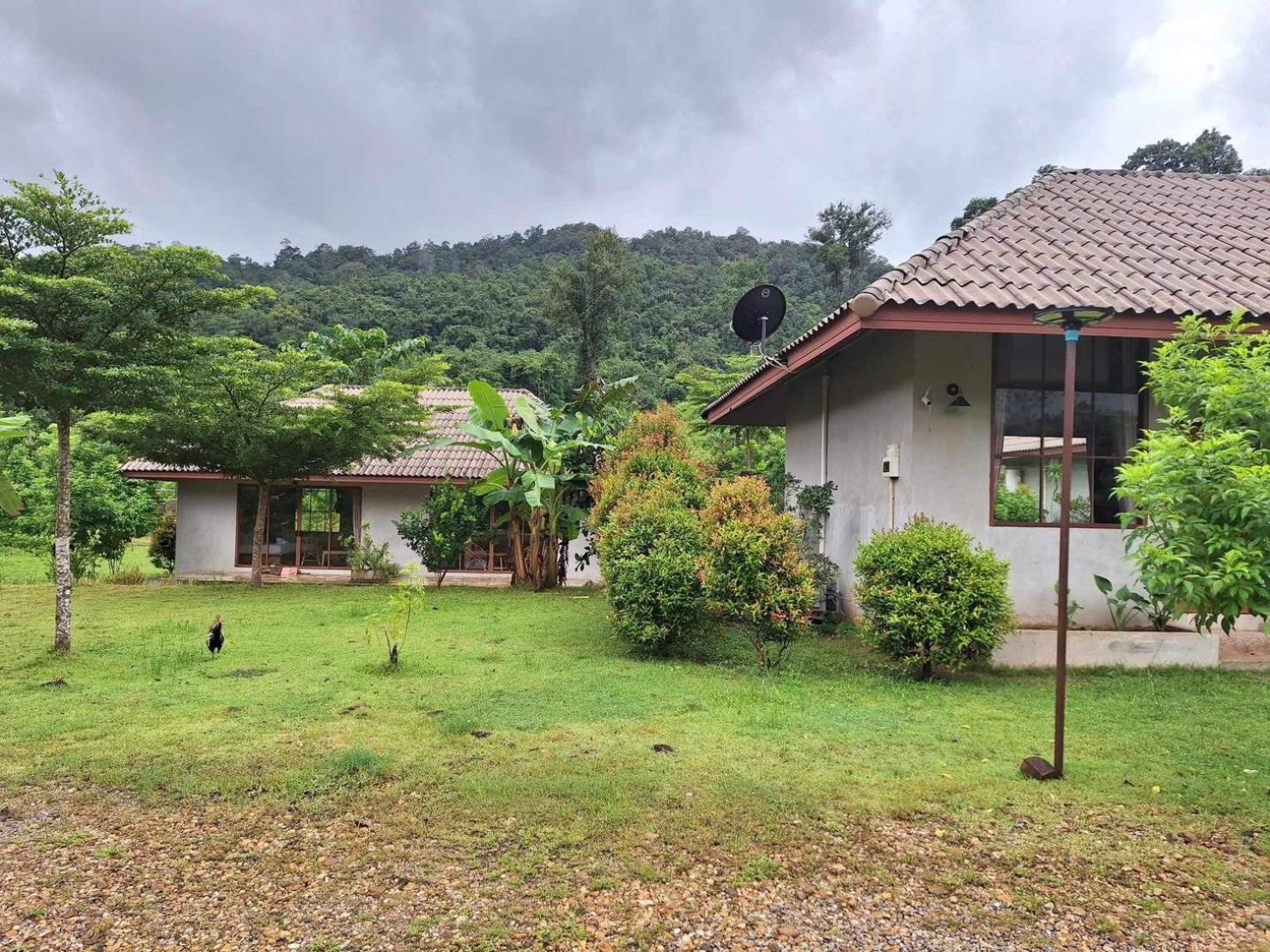Guest house The Liveliwoods Khao Sok National Park