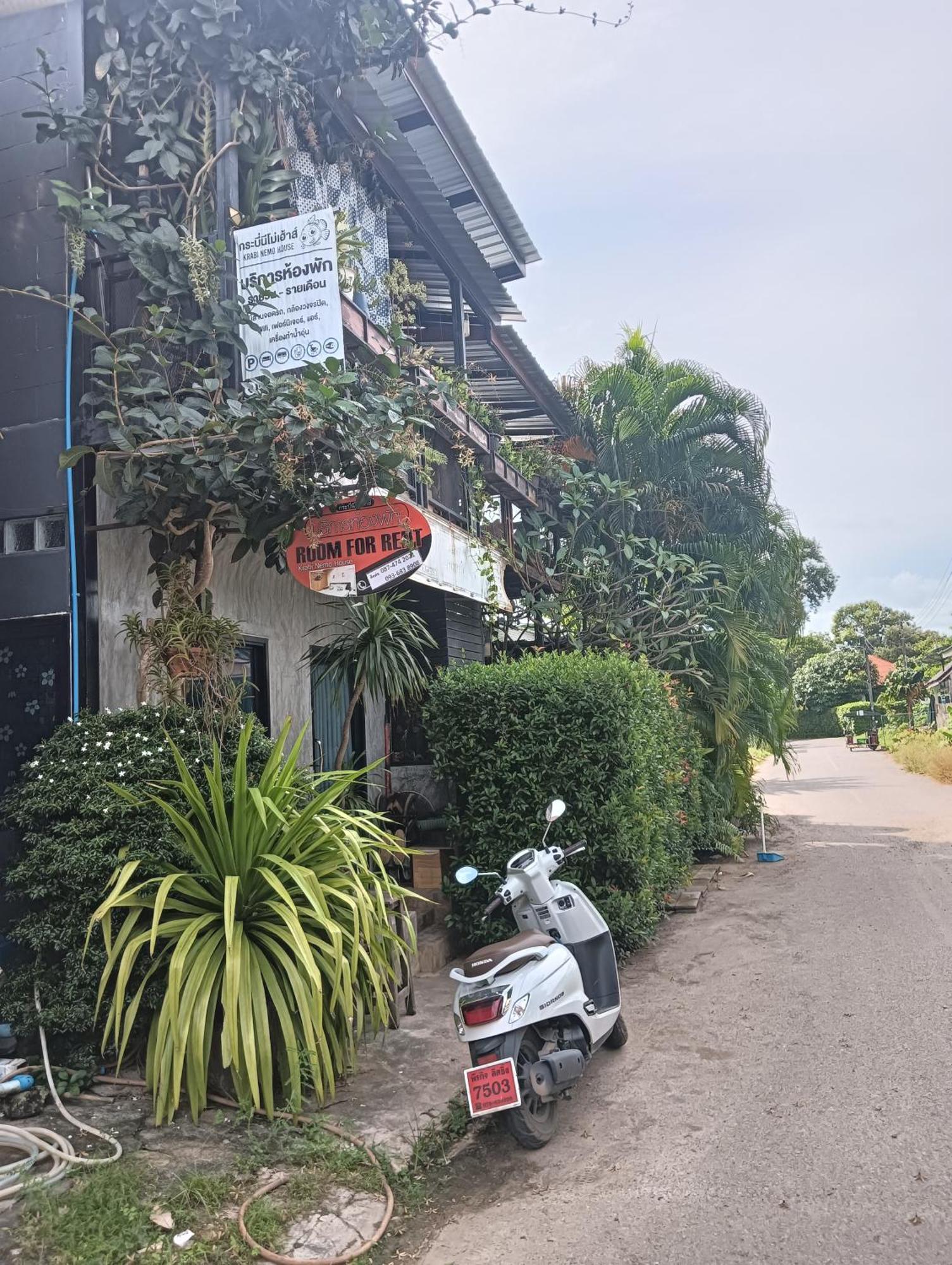 Hostel Krabi Nemo House *
