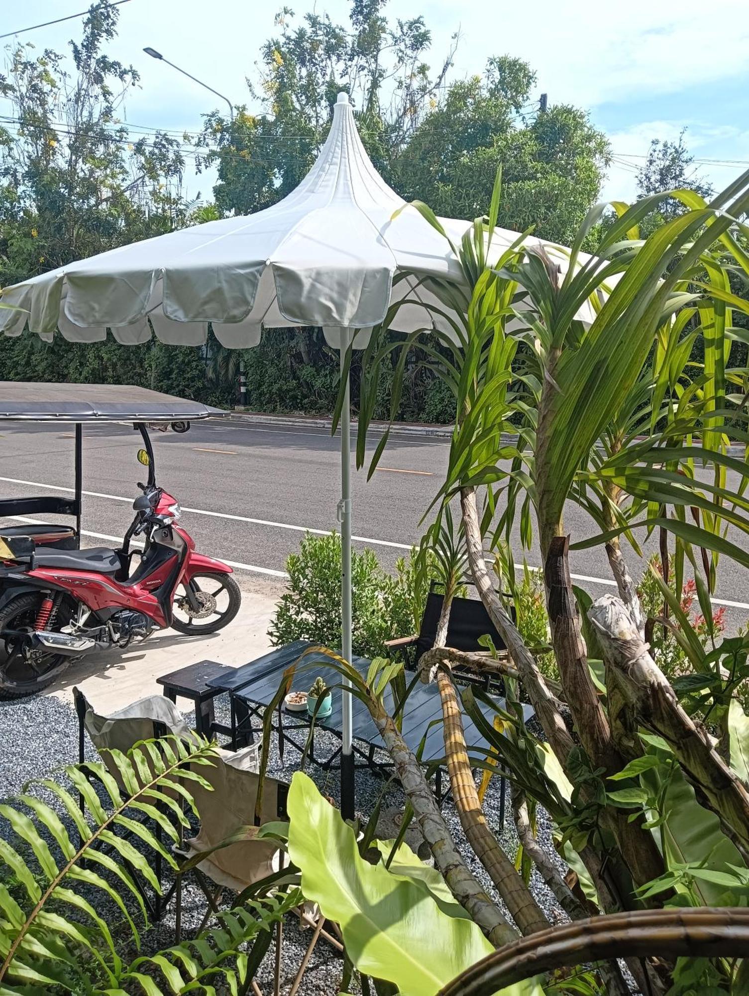 Krabi Nemo House Hostel
