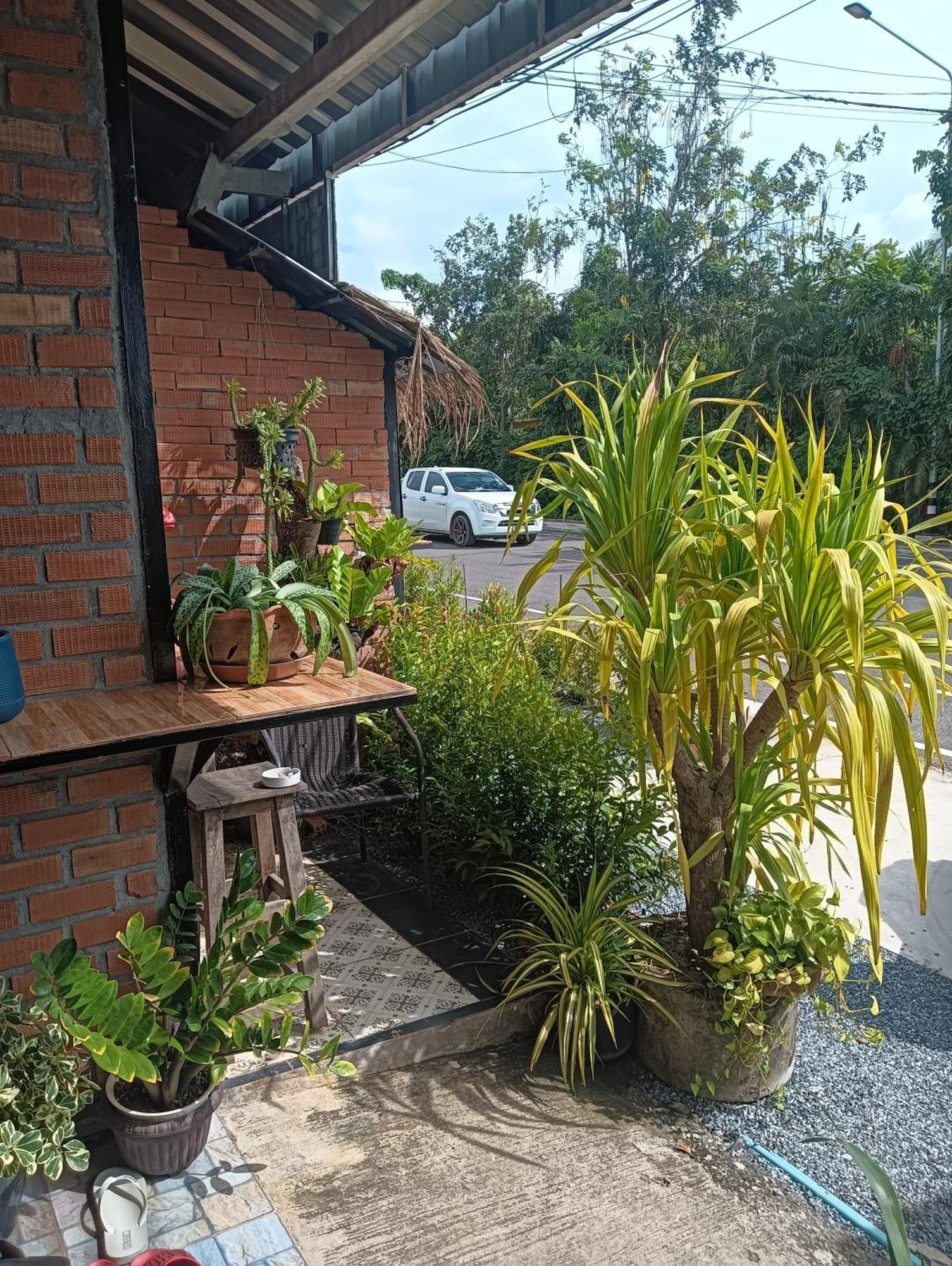 Hostel Krabi Nemo House *