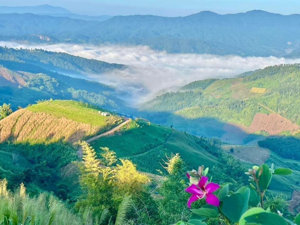 Resort My Story Doichang Chiangrai 5*