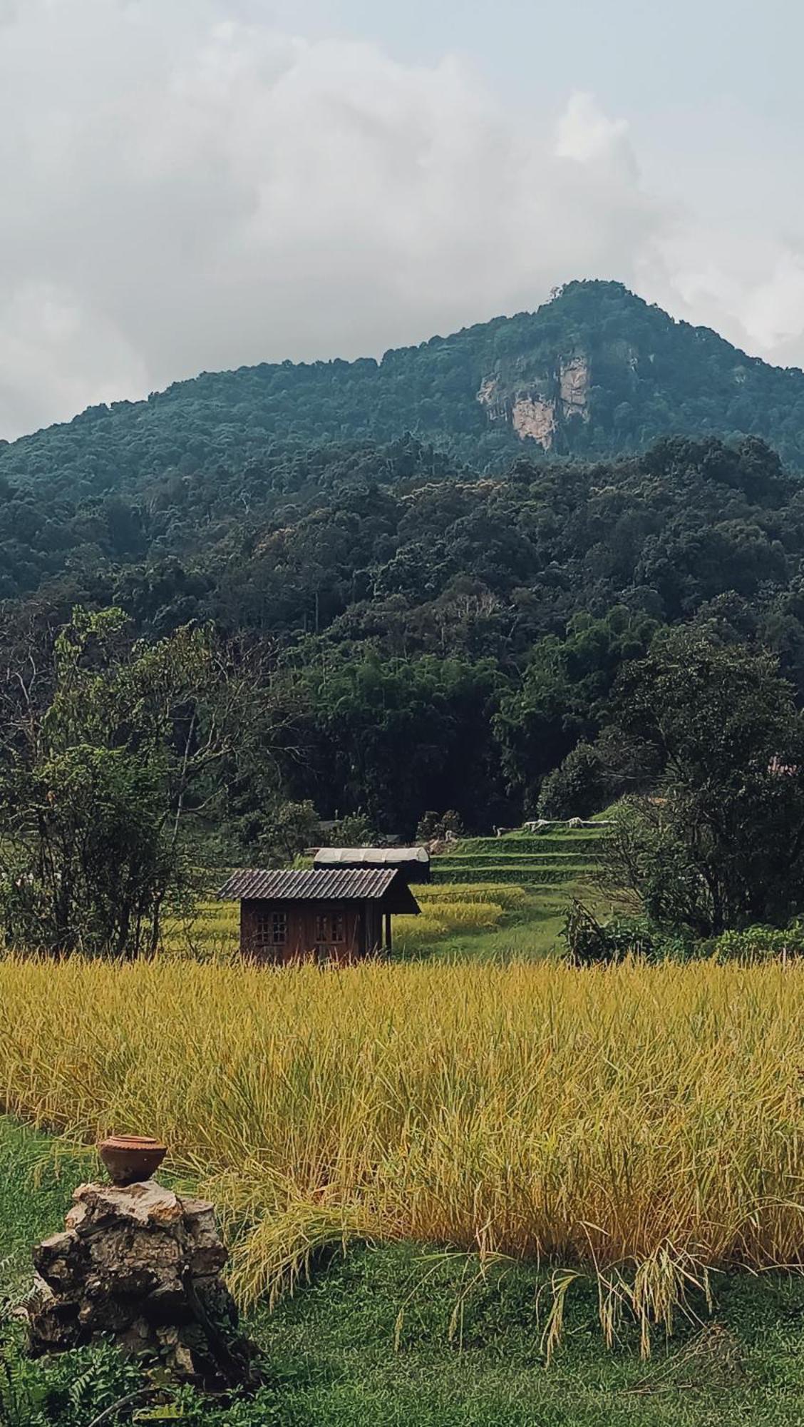 Cabinthai *