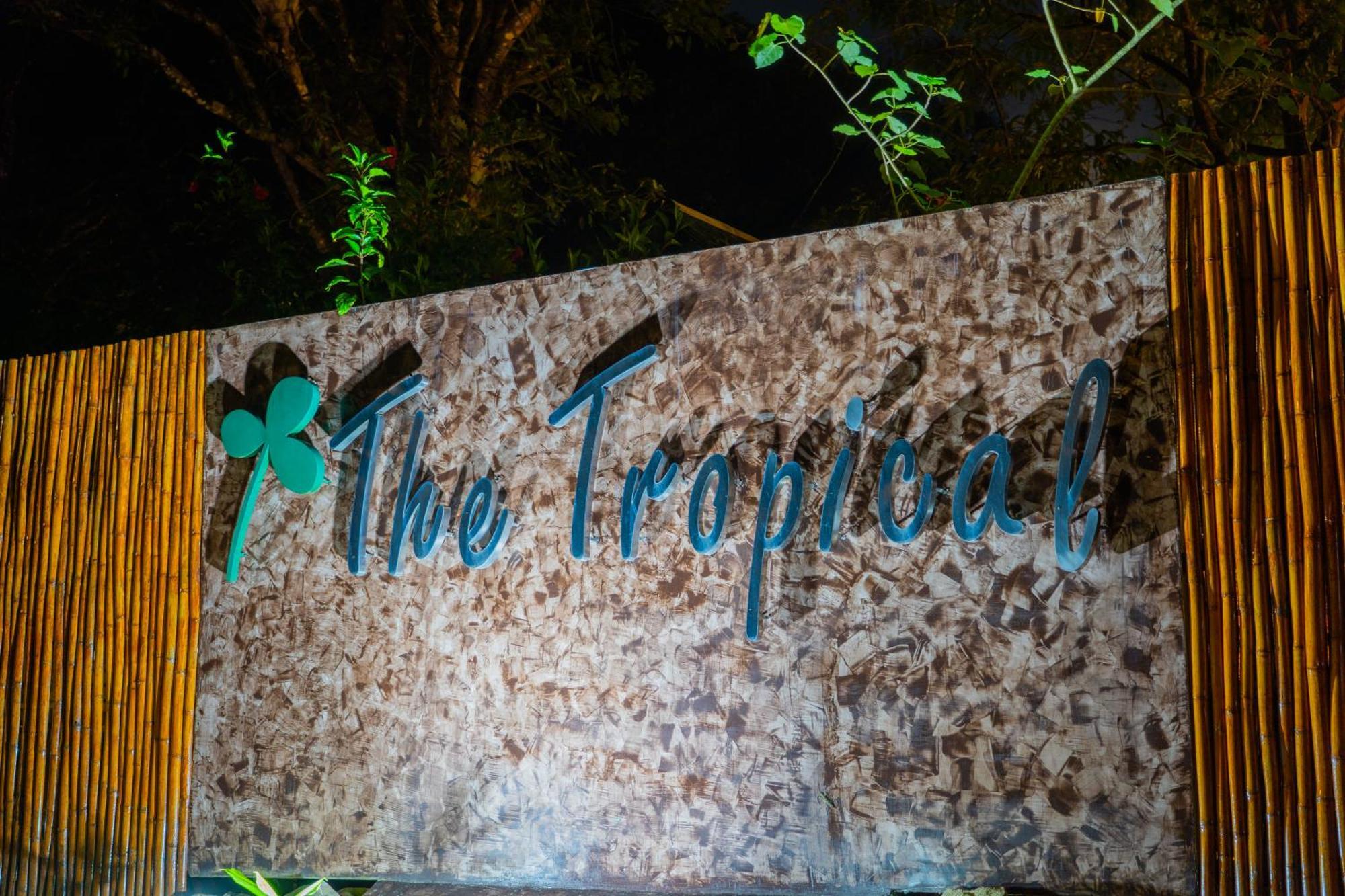 The Tropical
