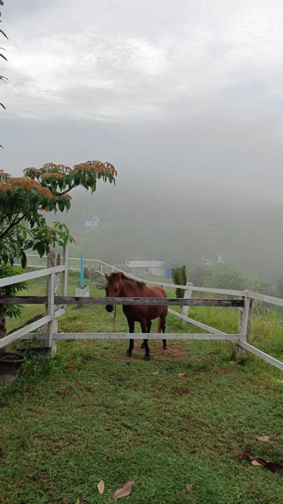 Viewpoint Guest house Phang Nga