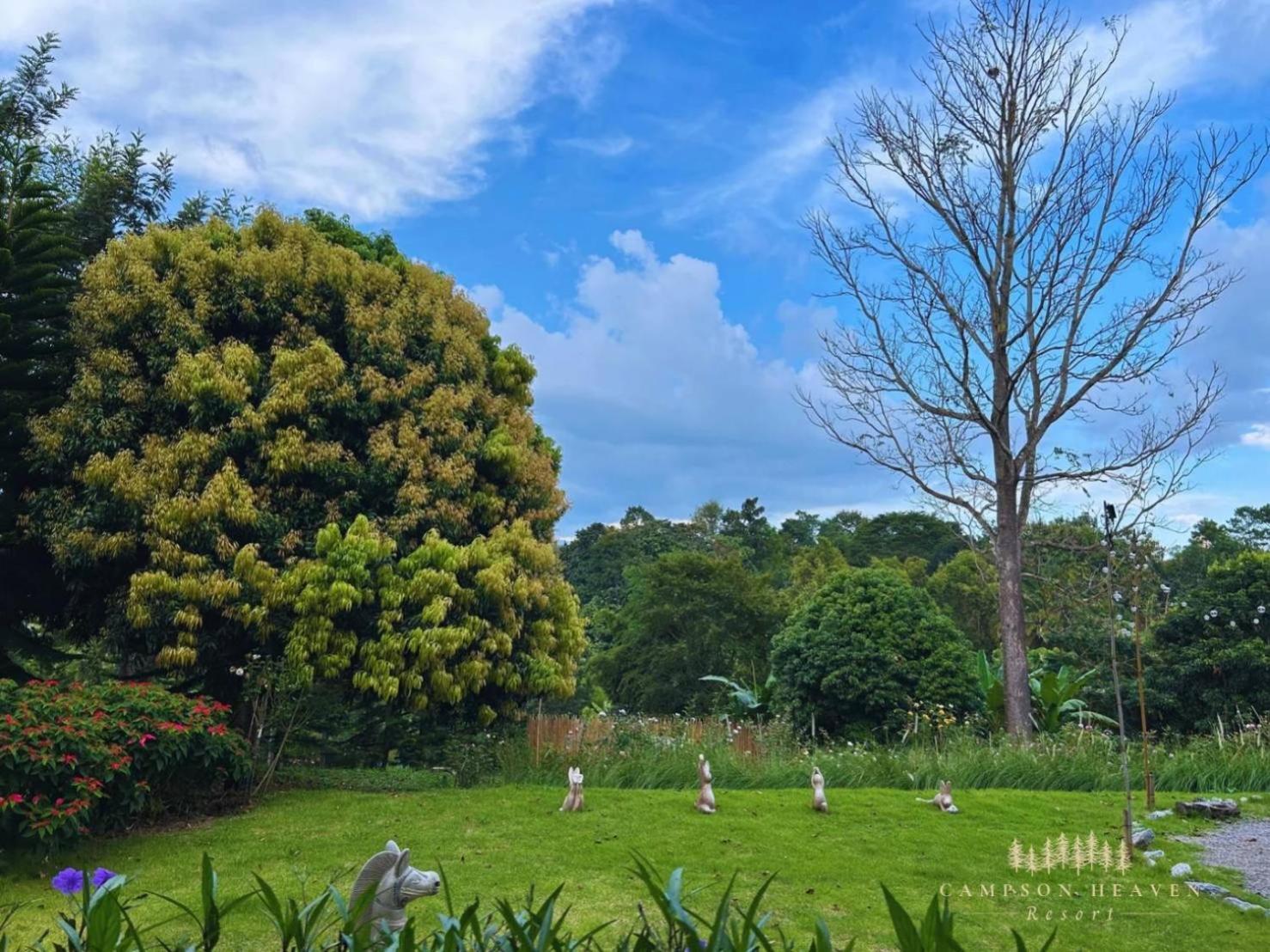 Campson Heaven Hotel Khao Kho