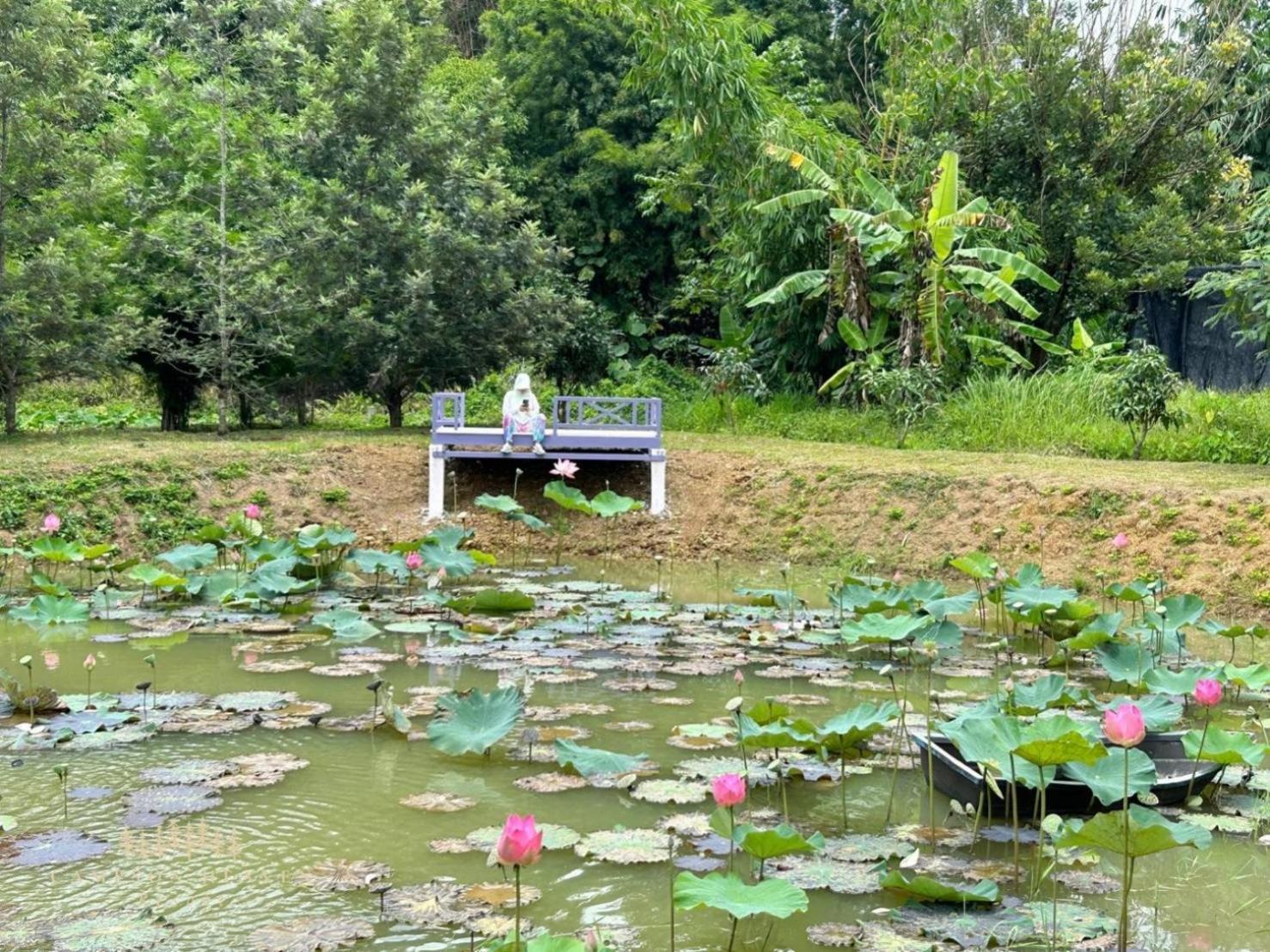 Campson Heaven 3* Khao Kho