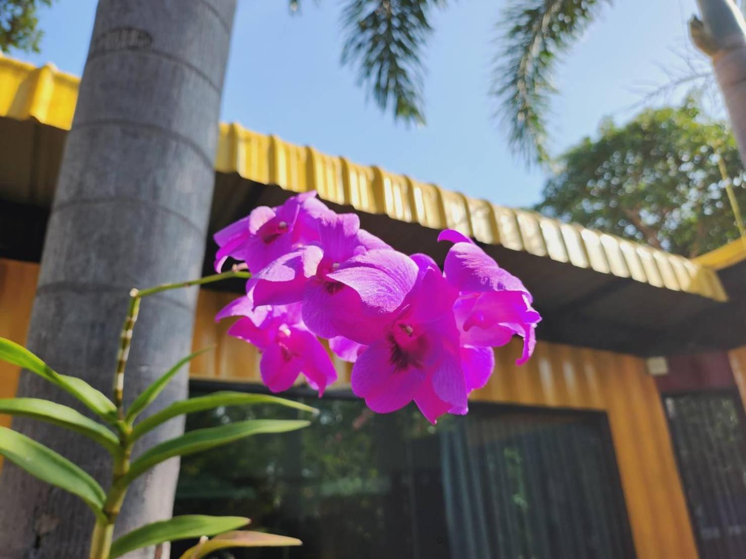 Box At Pran Resort