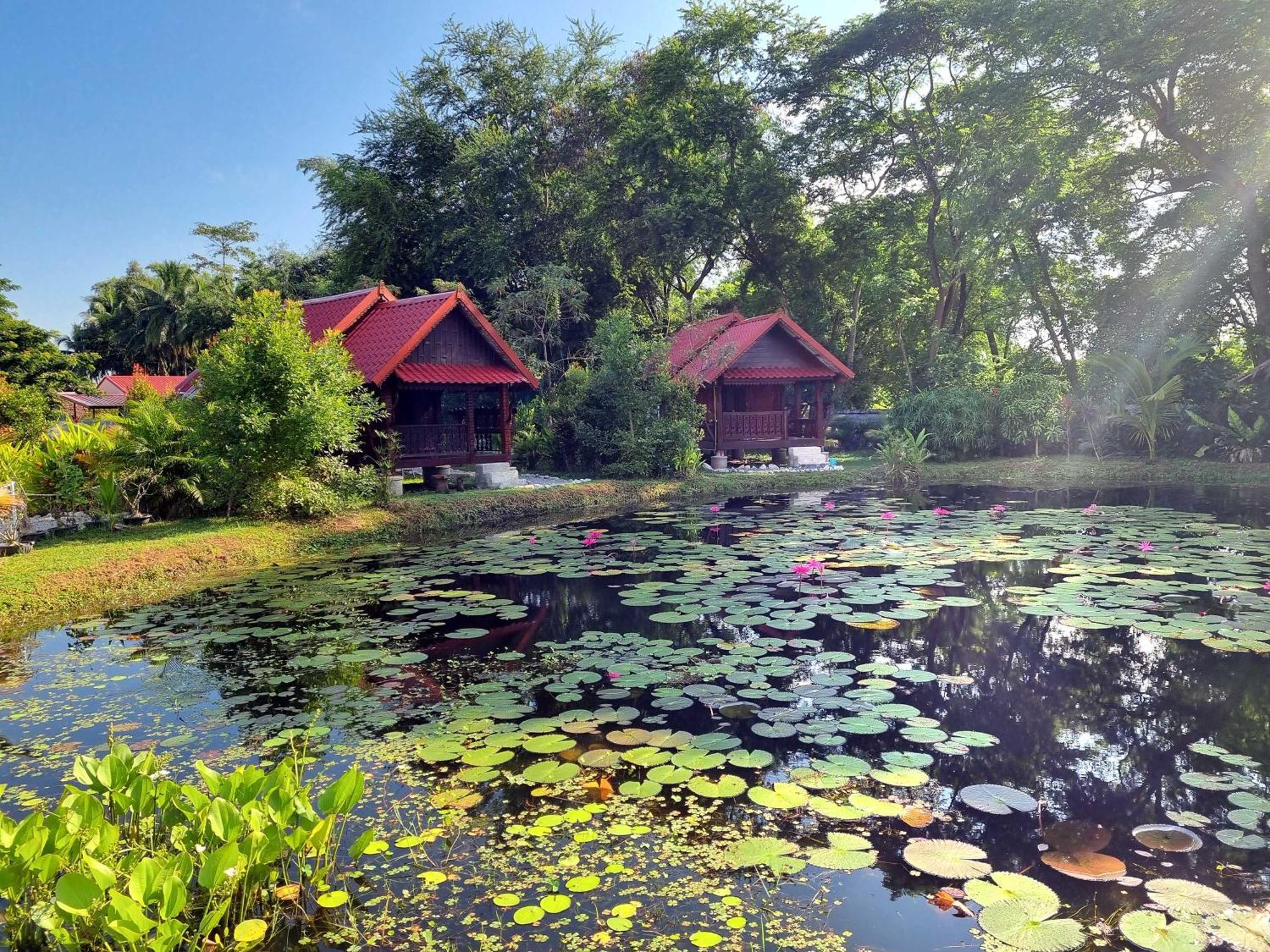 Bua Daeng