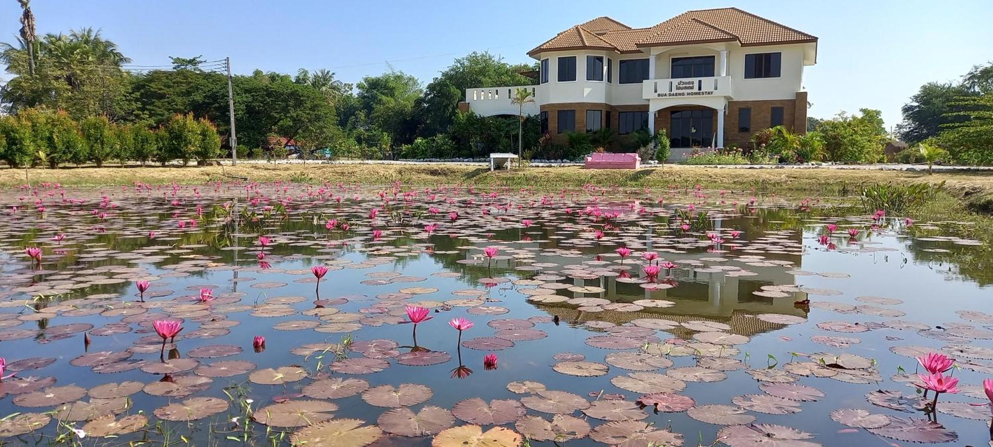 Resort Bua Daeng Kumphawapi