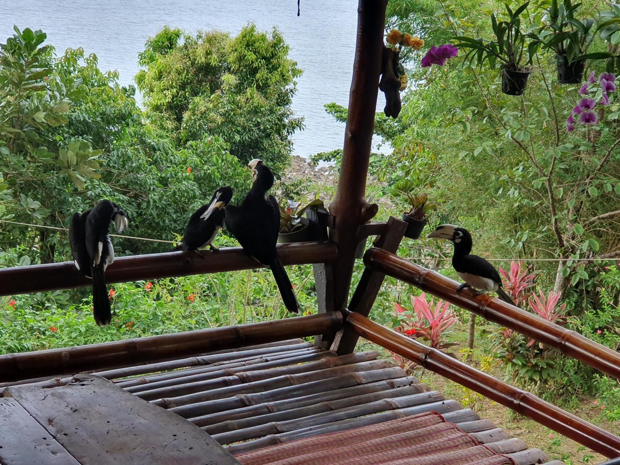 Holiday home Littleduck Koh Chang Ranong
