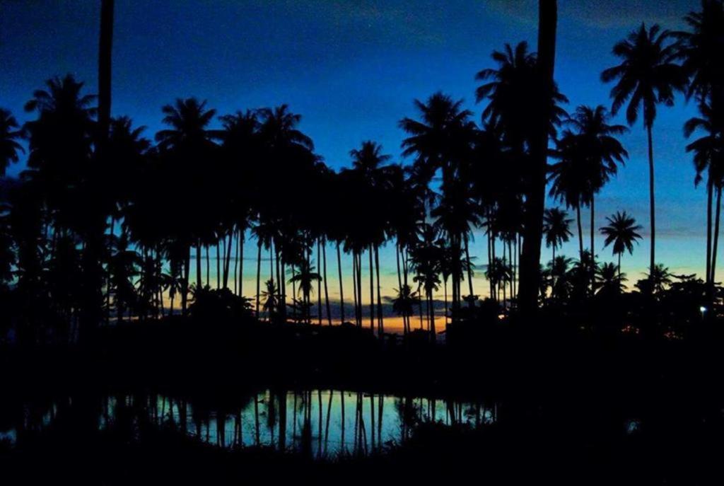 Peace Lanta 3*