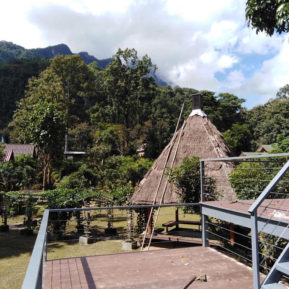At Chiang Dao, Pooch Lovers