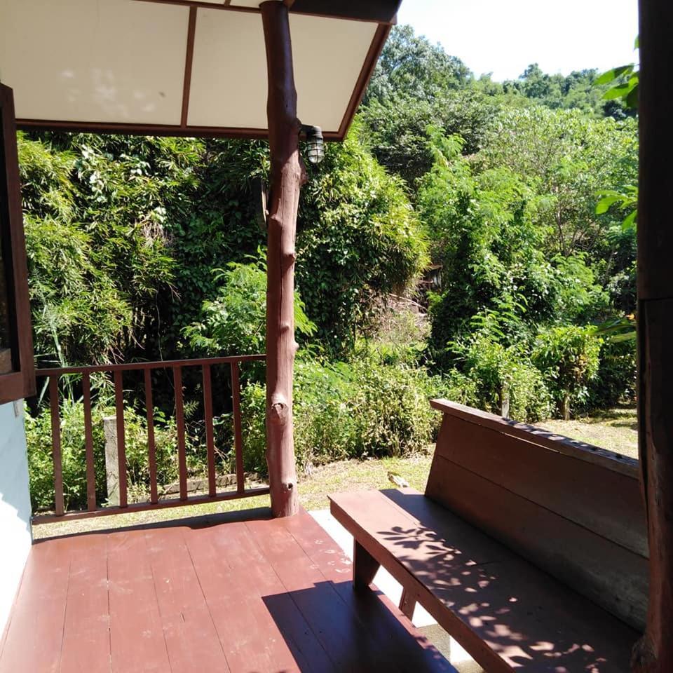 At Chiang Dao, Pooch Lovers