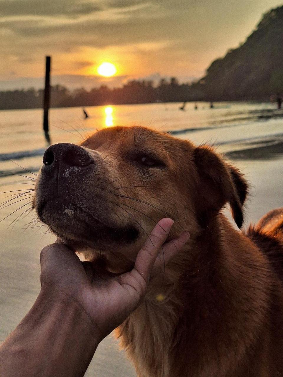Koh Kood Neverland