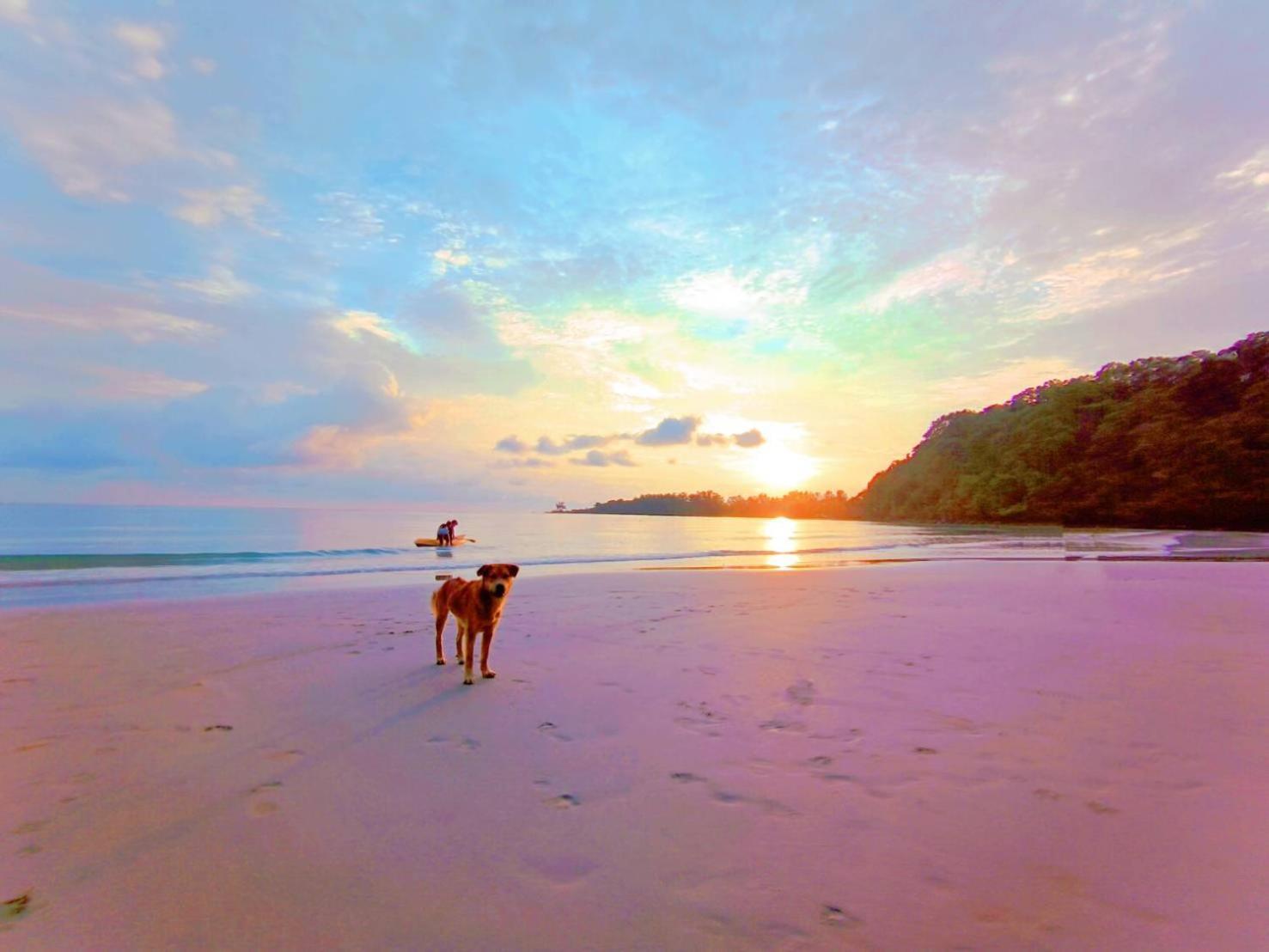 Koh Kood Neverland Holiday home Ko Kut