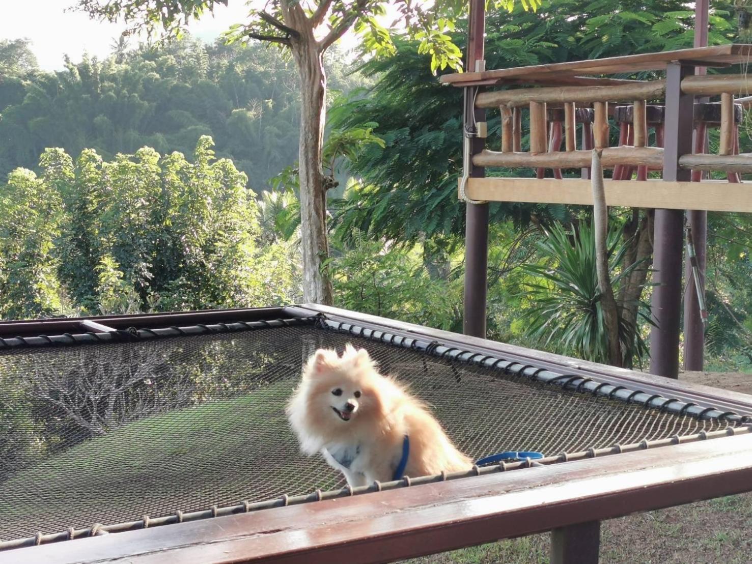Baanrai Khunya บ้านไร่คุณย่า *
