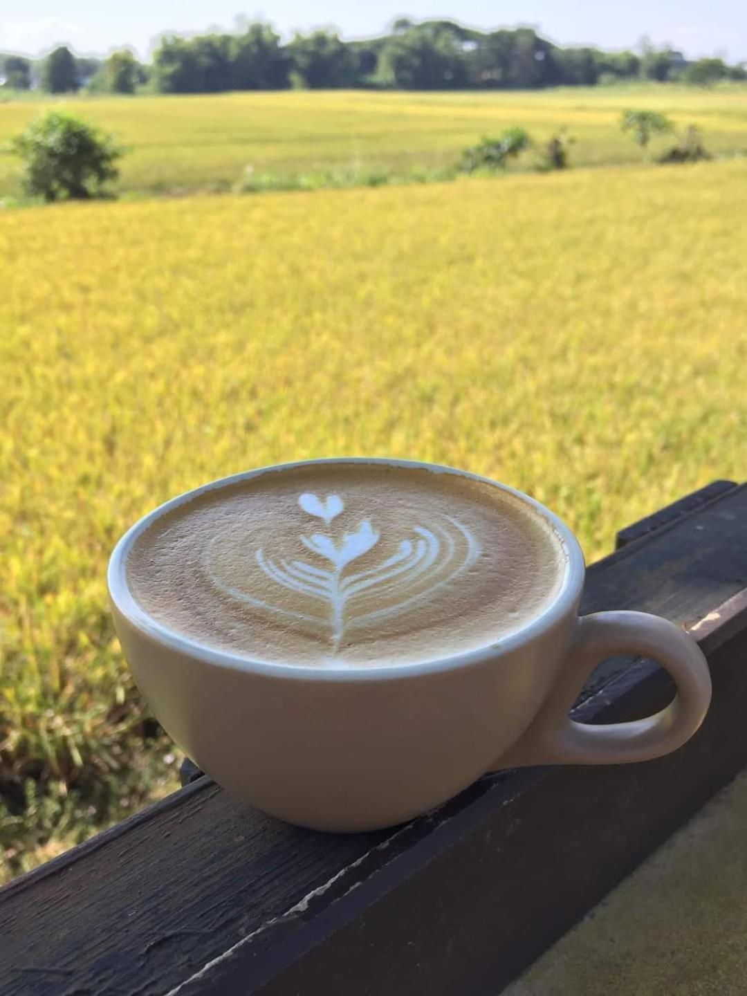 Hotel Six Nature Chiang Rai