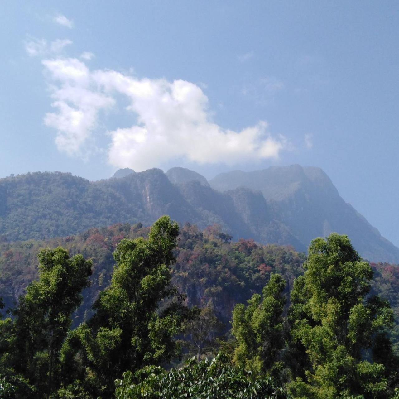 Resort At Chiang Dao, Pooch Lovers