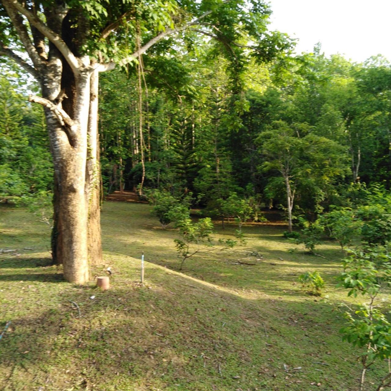 At Chiang Dao, Pooch Lovers Resort