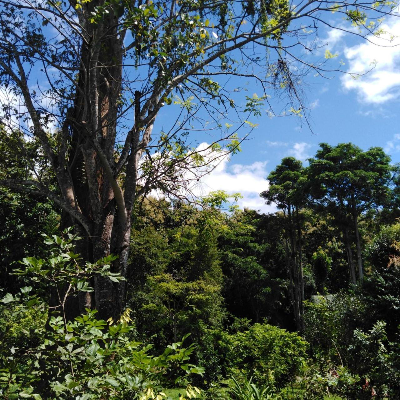 Resort At Chiang Dao, Pooch Lovers Ban Tham (Chiang Dao)