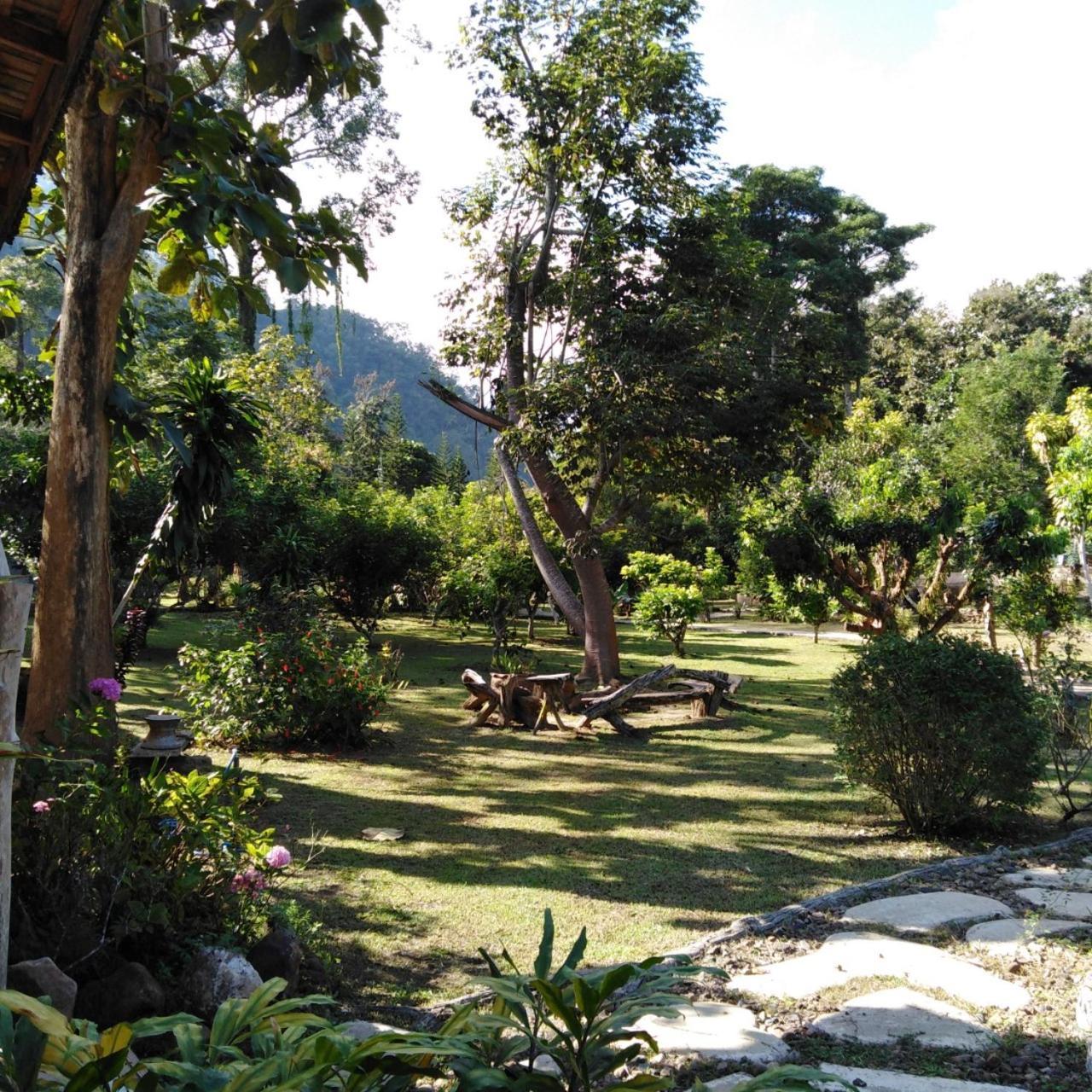 At Chiang Dao, Pooch Lovers