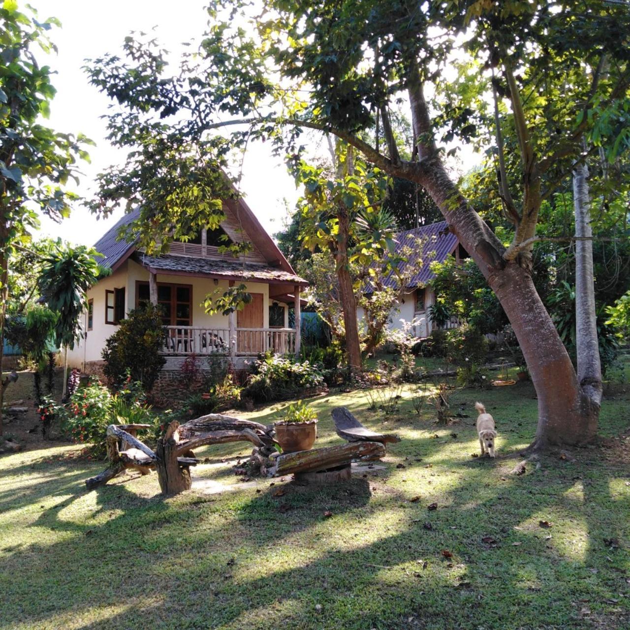 Resort At Chiang Dao, Pooch Lovers