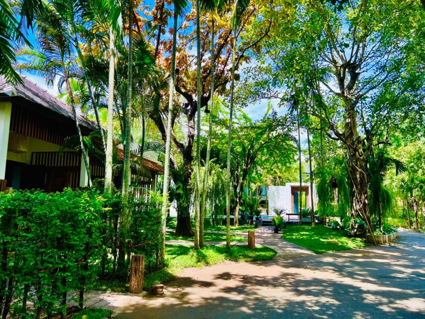 Tai Guest house