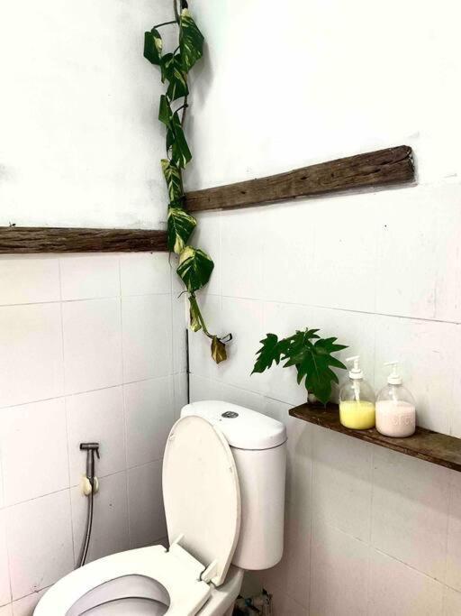 Cabinthai *