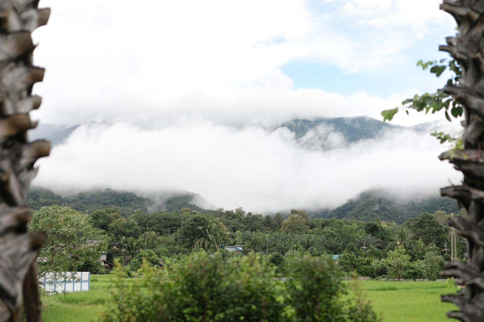 Saksila Resort