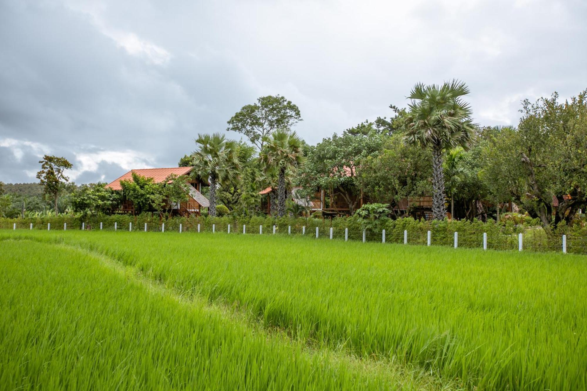 Saksila * Nan