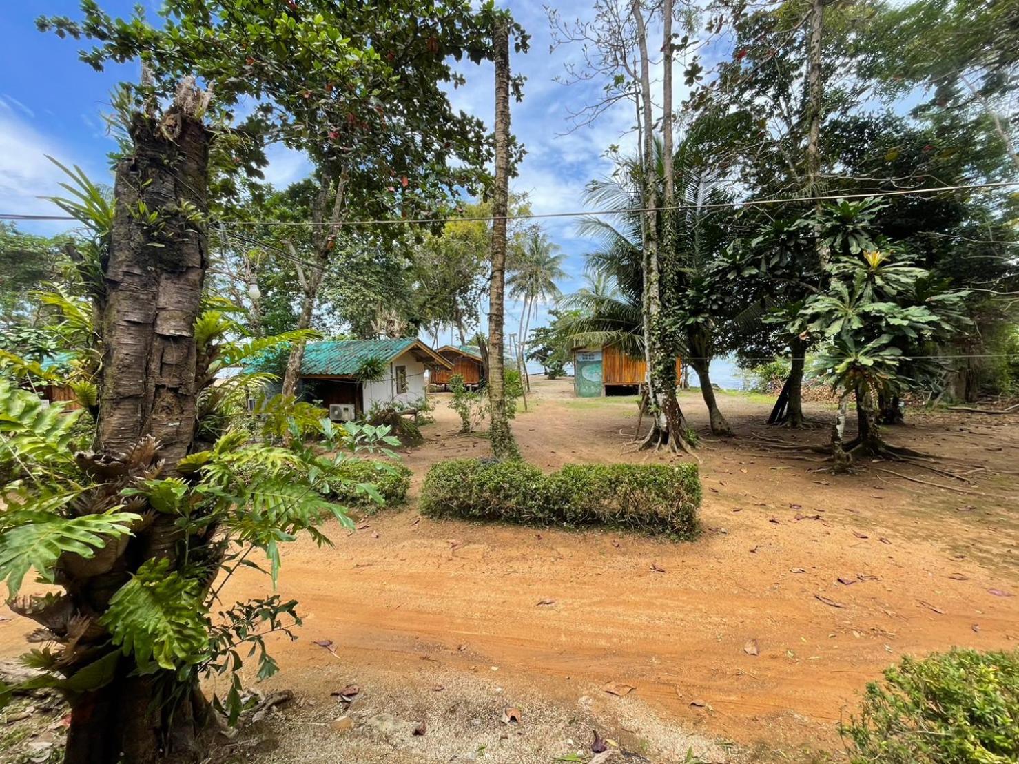 View Resort *